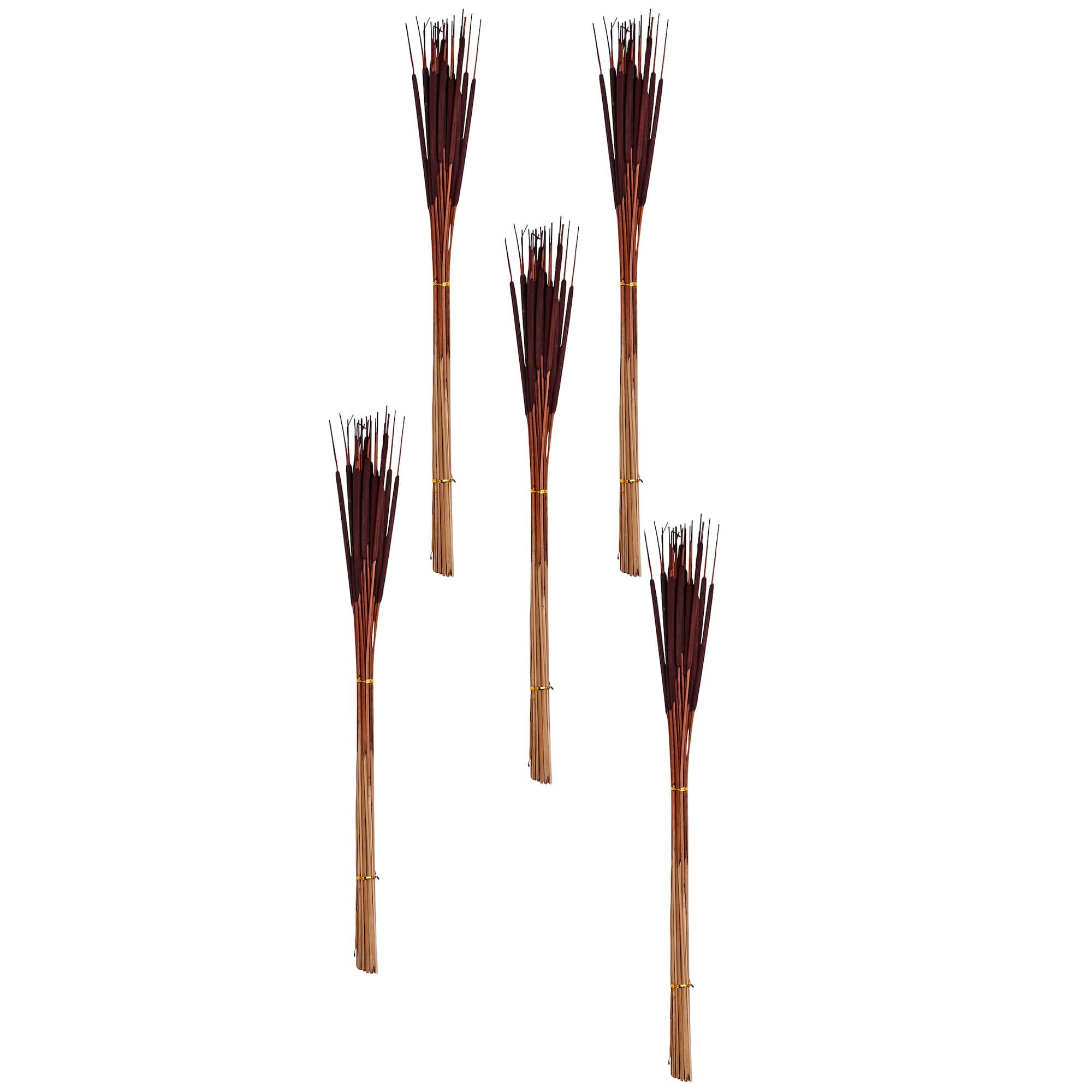 26" Pencil Bullrush Cattails